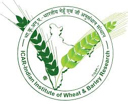 ICAR-Indian Institute of Wheat & Barley Research