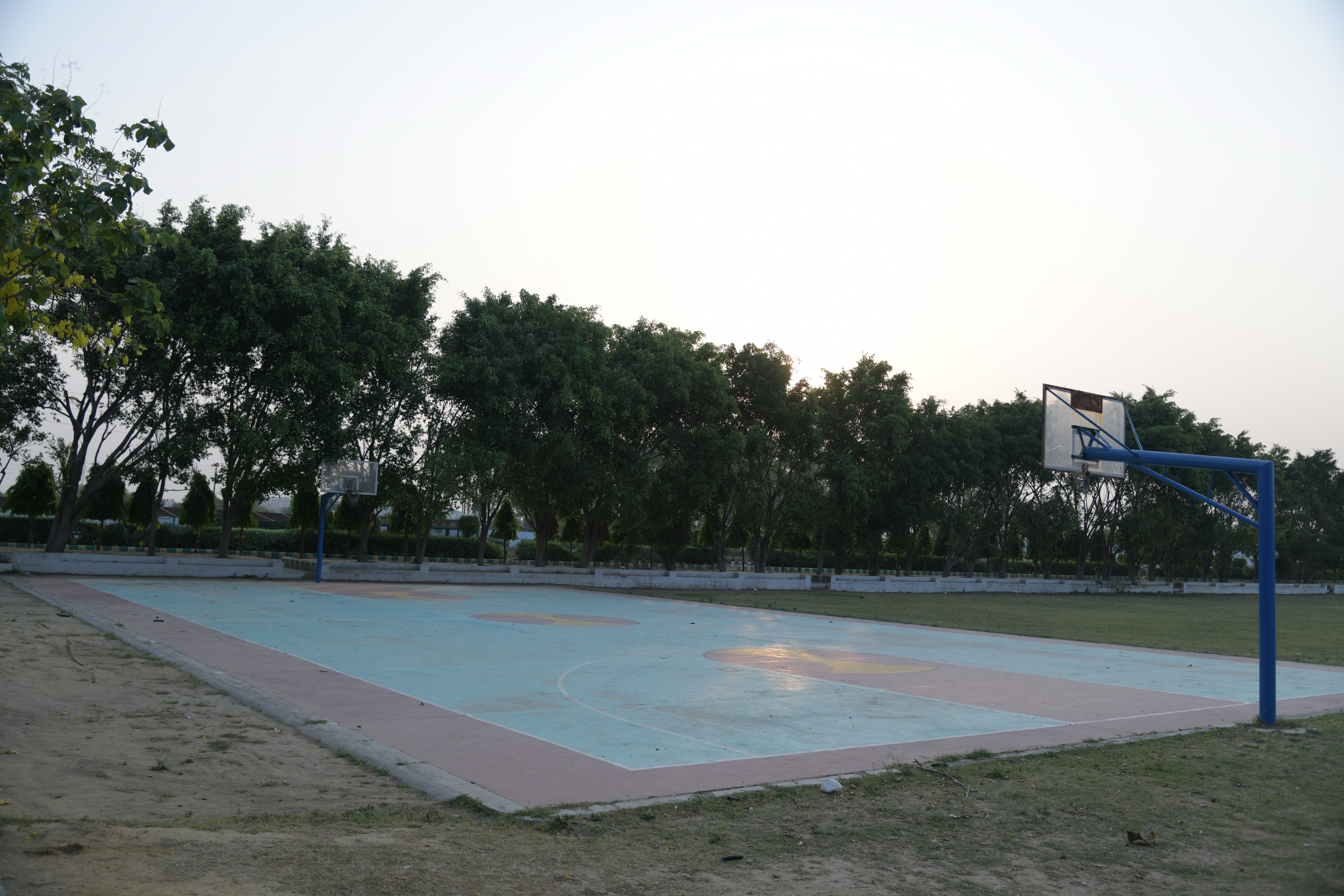 Image Gallery Image Gallery